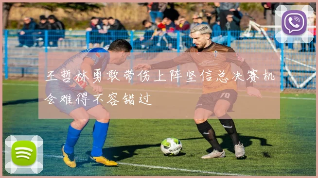 王哲林勇敢带伤上阵坚信总决赛机会难得不容错过